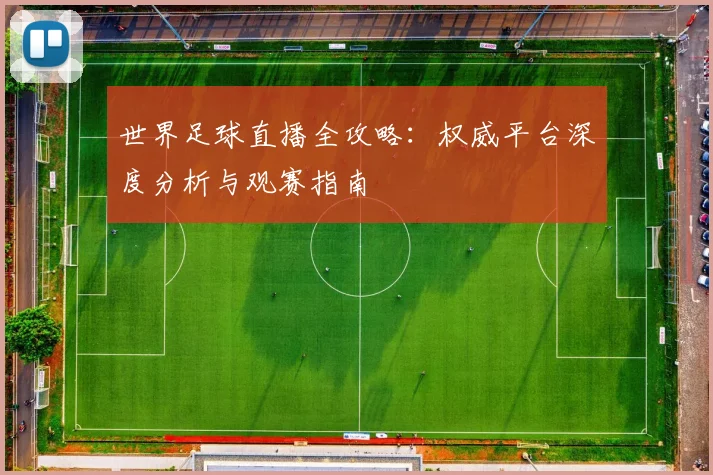 世界足球直播全攻略：权威平台深度分析与观赛指南